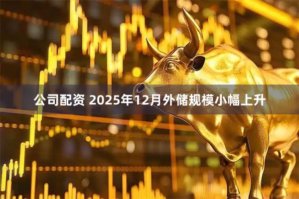 公司配资 2025年12月外储规模小幅上升