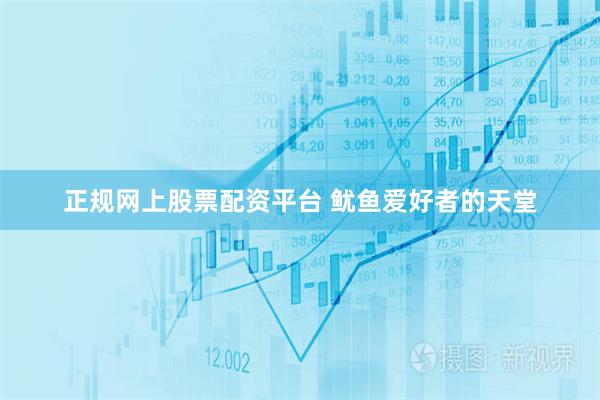 正规网上股票配资平台 鱿鱼爱好者的天堂